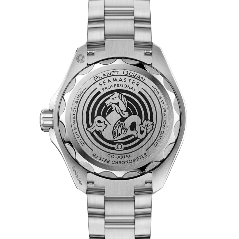 Omega Planet Ocean 6000M Watch